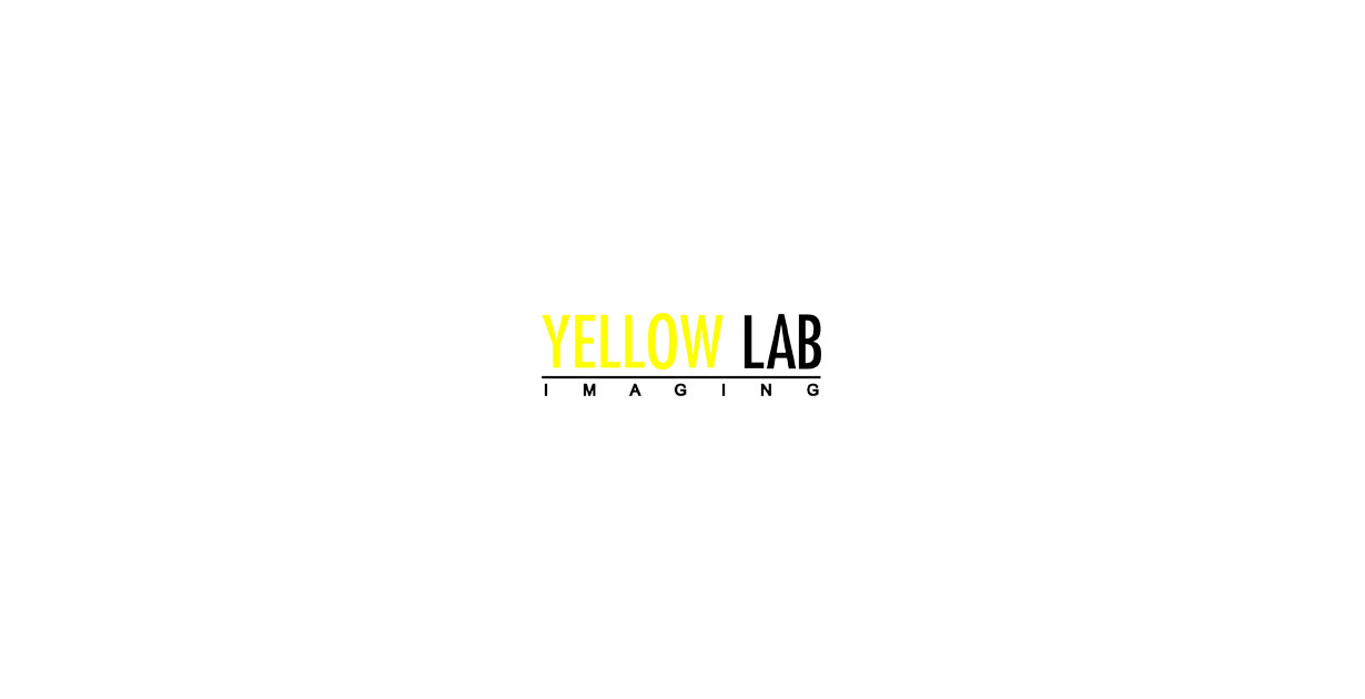Yellow Lab Imaging