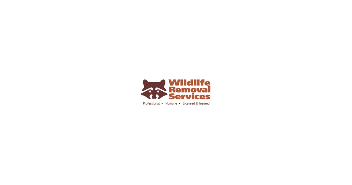 Wildlife Removal Services of Florida