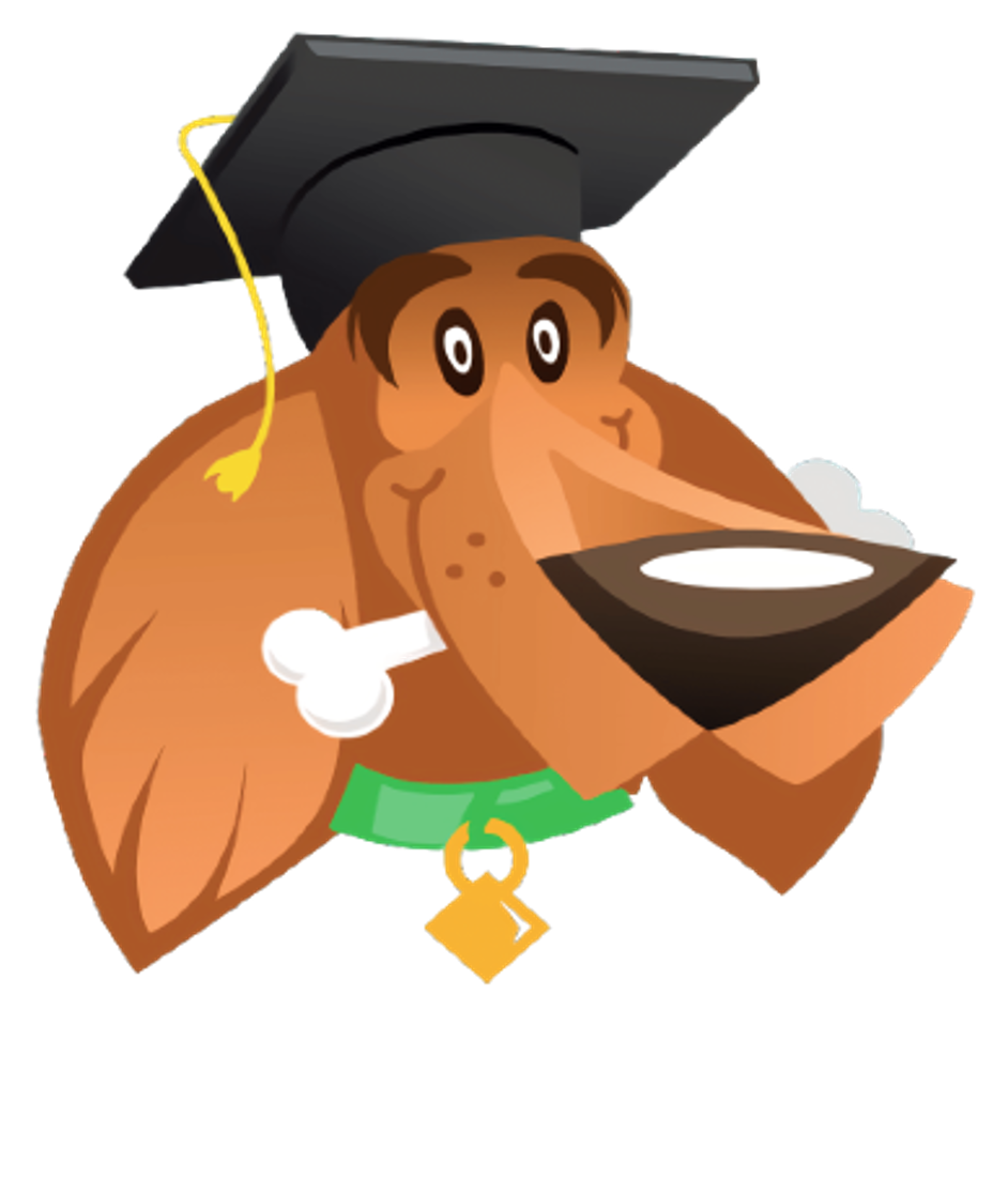 St. Louis Dog School