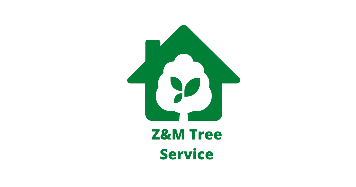 Z&M Tree Service