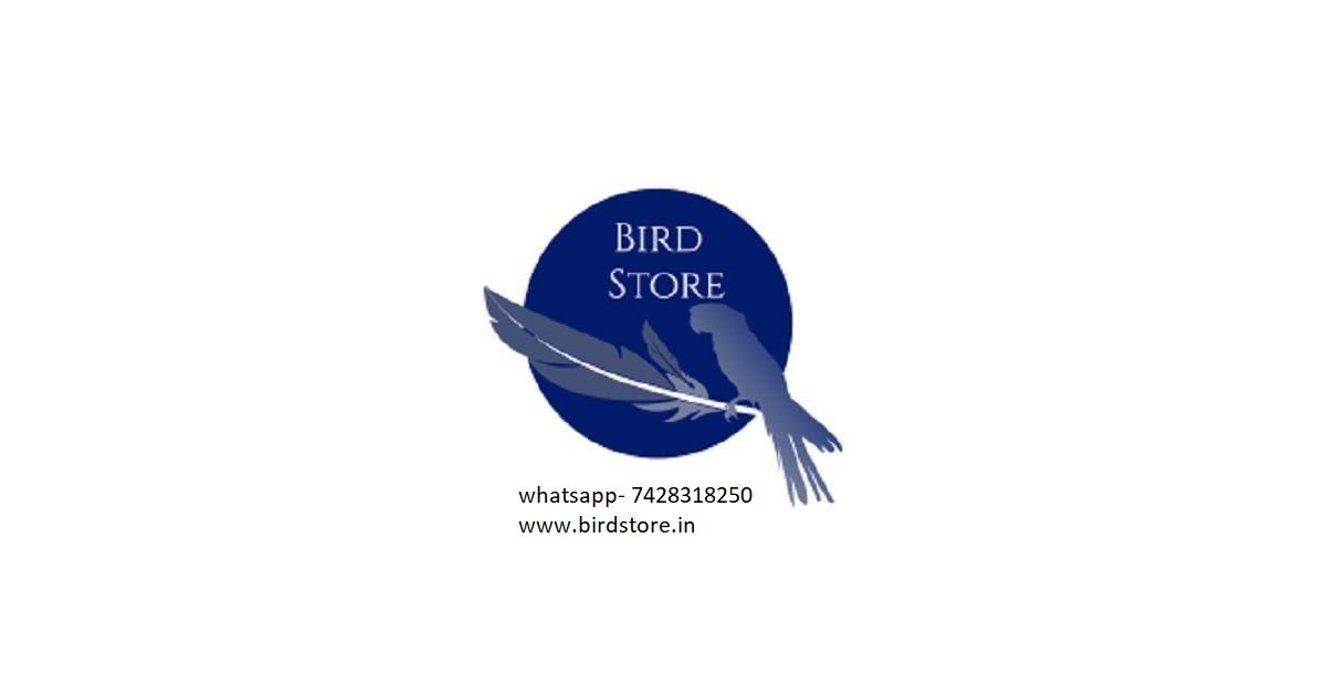 BIRD STORE DELHI