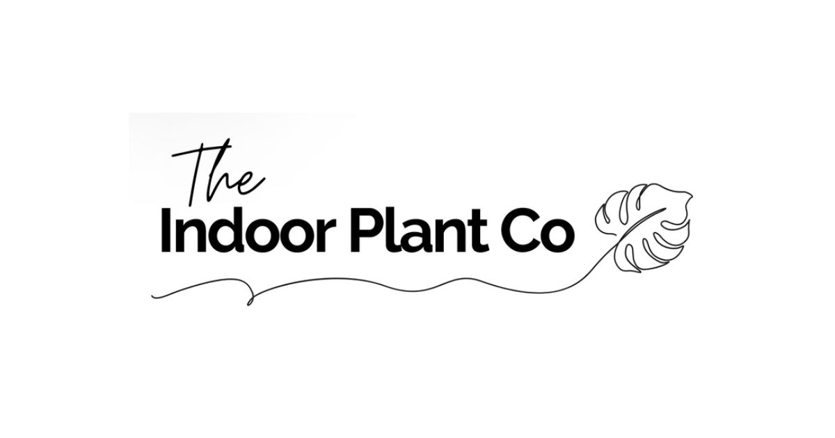 The Indoor Plant Co
