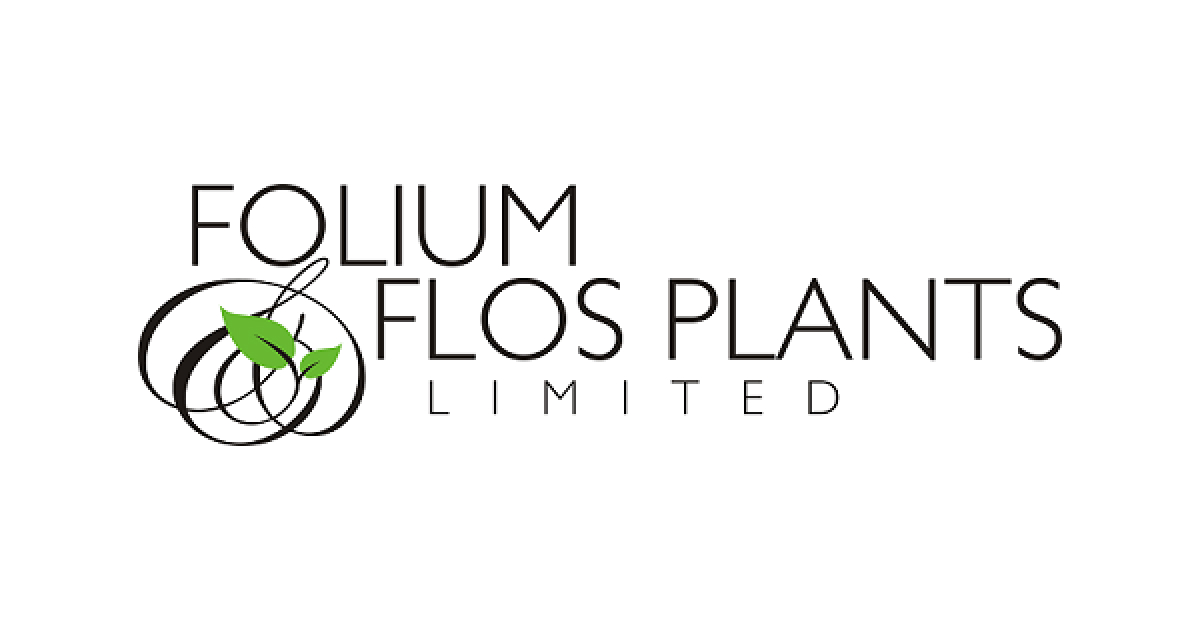 Folium and Flos Plant Limited