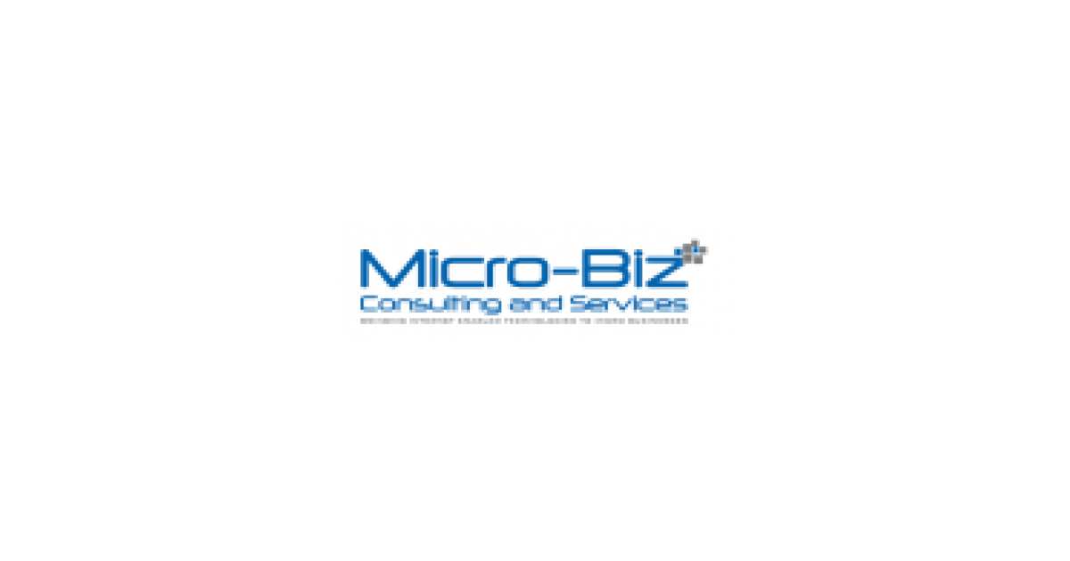 Micro-Biz Consulting and Services