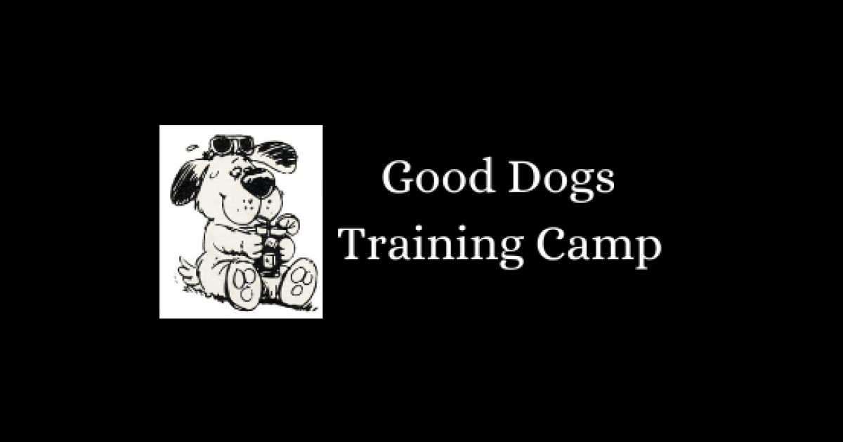 Good Dogs Training Camp