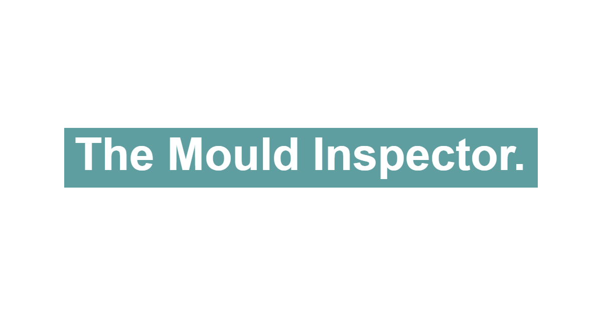 The Mould Inspector