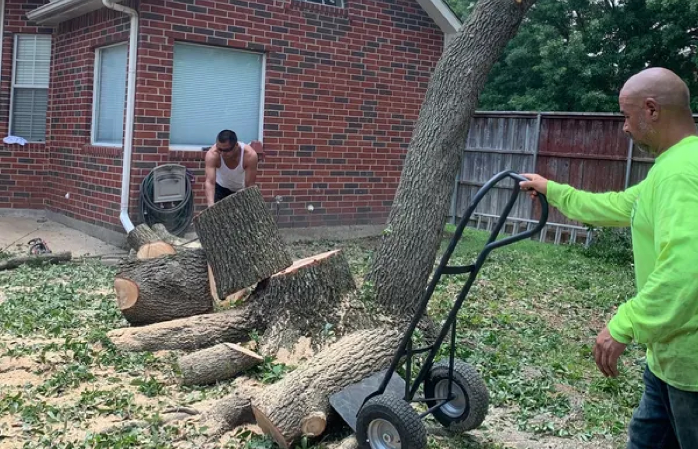 Texas Treehouse Tree Service & Stump Grinding - 5 Star Featured Members