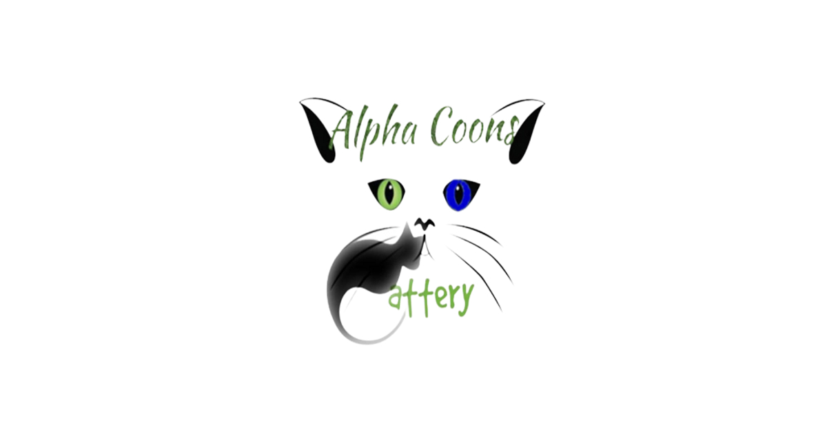Alpha Coons – Maine Coons from Maine