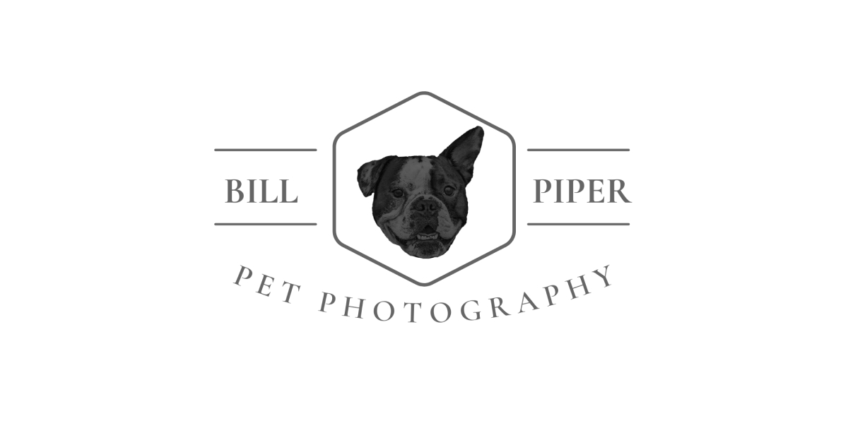 Bill Piper Photography LLC