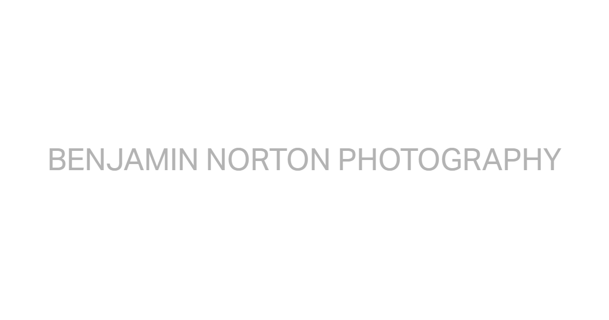 Benjamin Norton Photography LLC