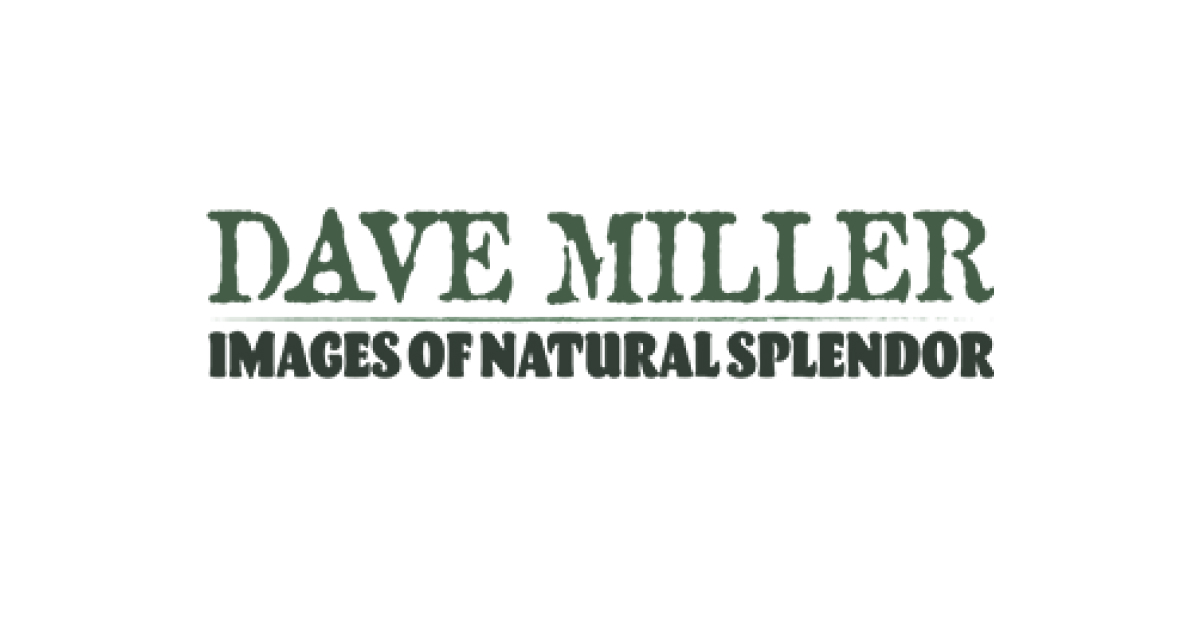 Dave Miller – Images of Natural Splendor