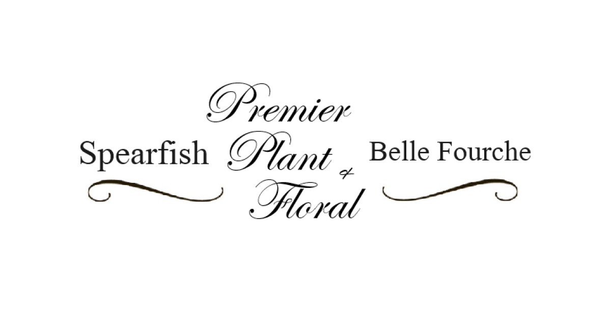 Premier Plant and Floral