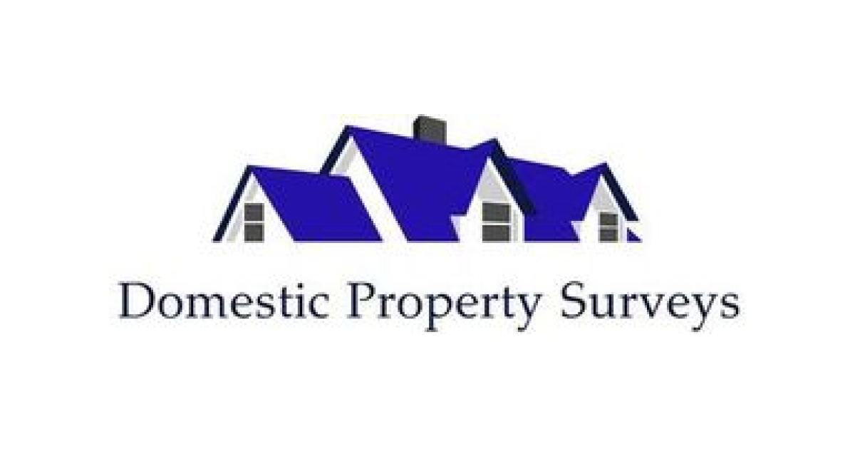 domestic property surveys ltd