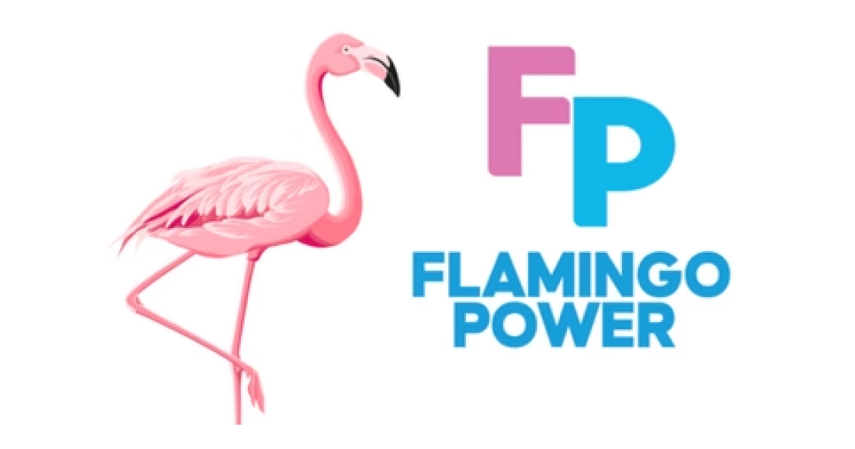 Flamingo Power LLC