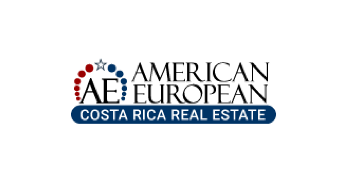 American European Real Estate