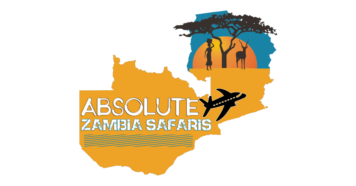 Absolute Zambia Safaris