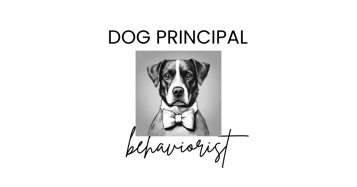 Dog Principal