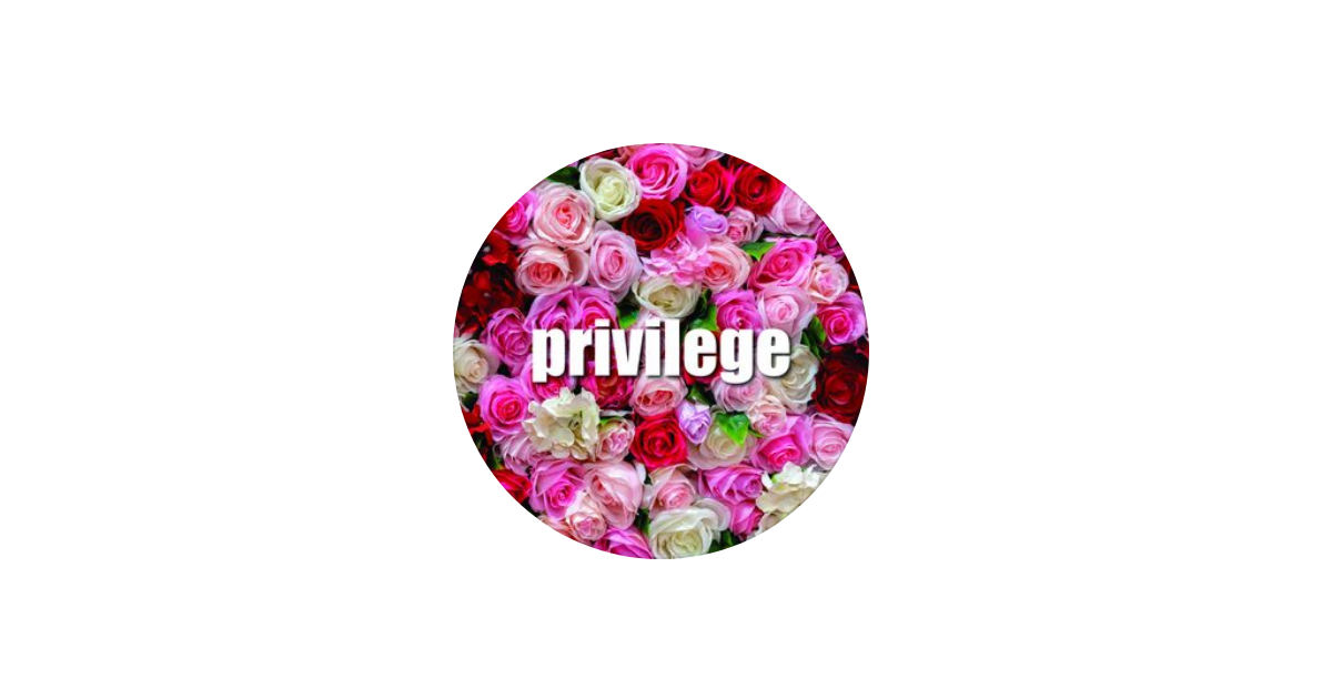 PRIVILEGE STORES