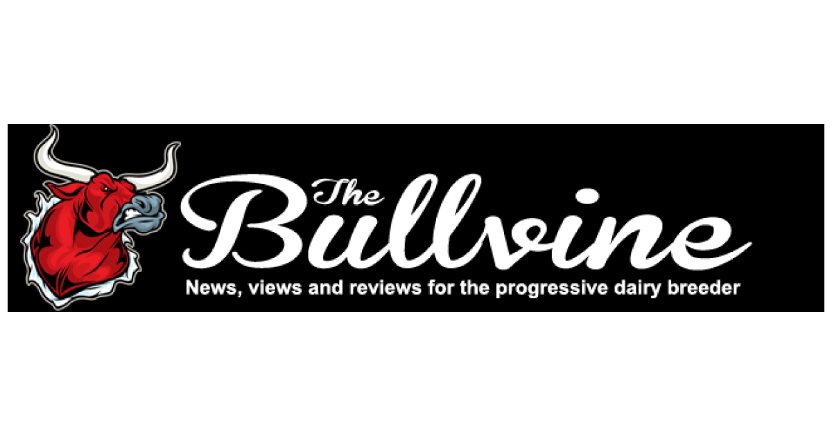 The Bullvine