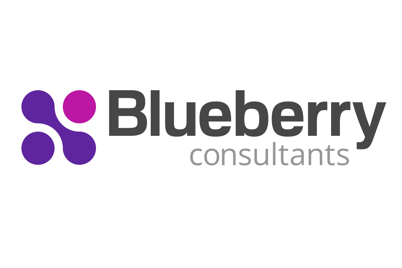 Blueberry Consultants