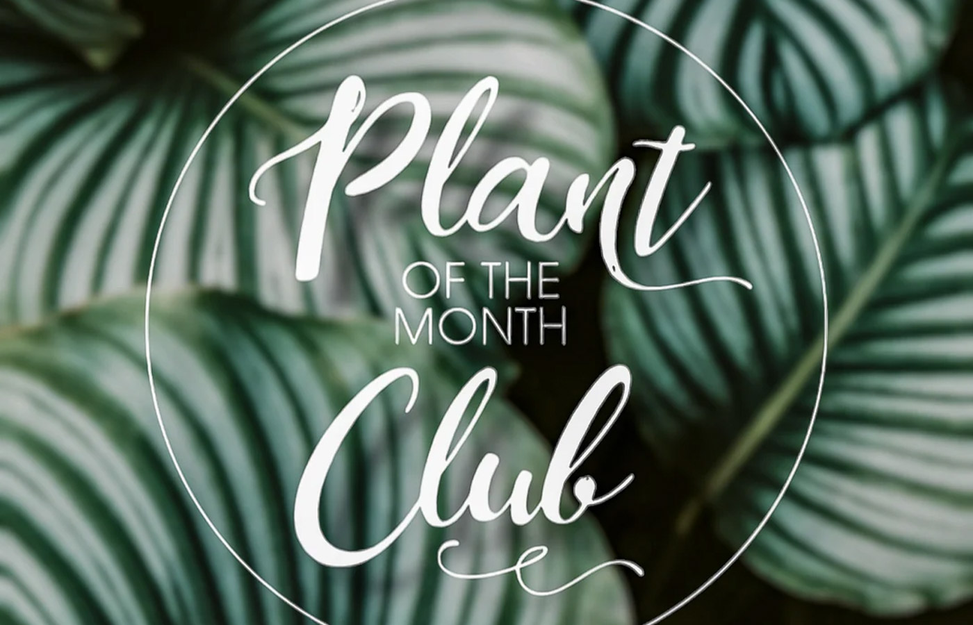Grow & Bloom Co.
