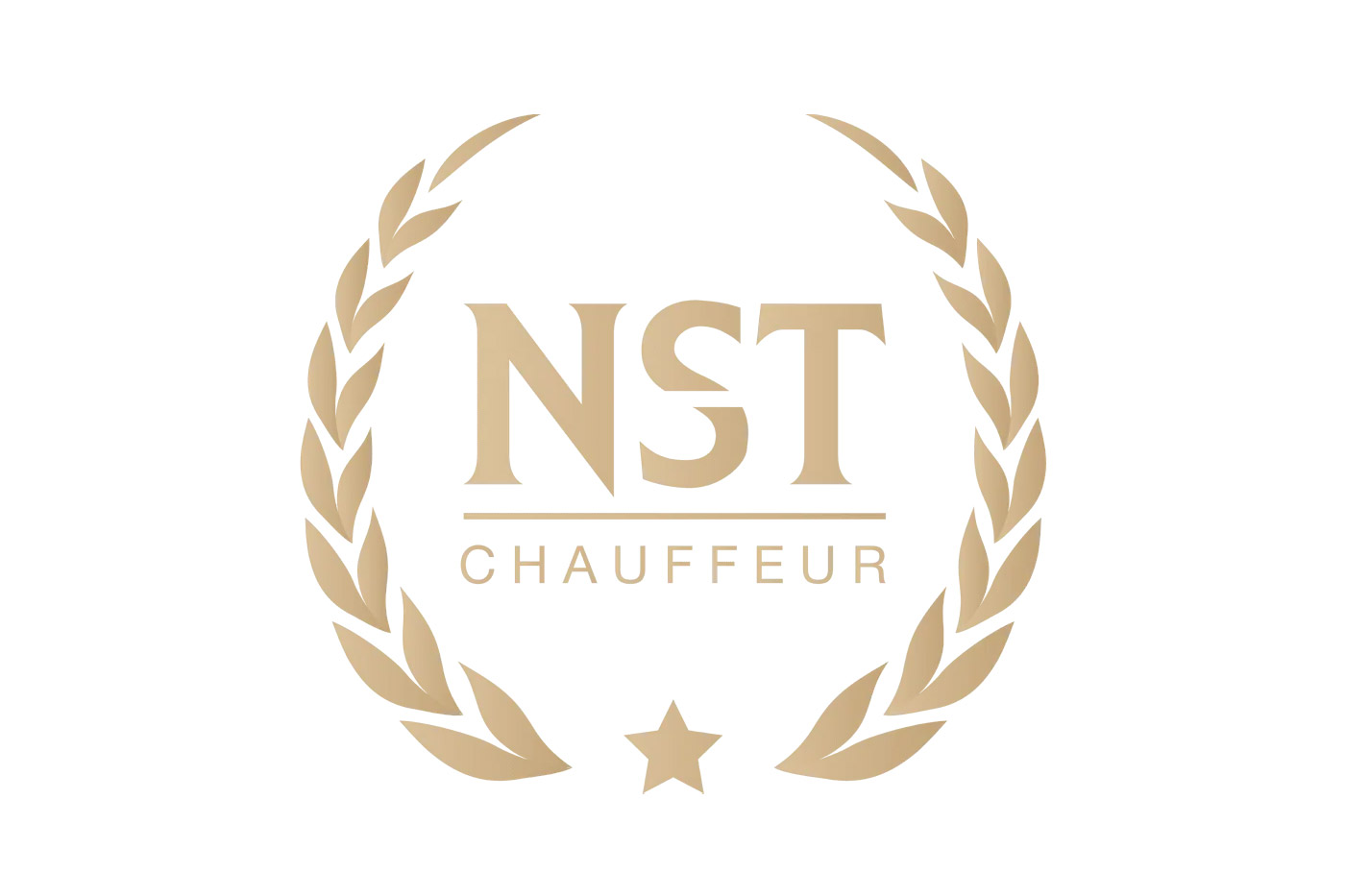 NST Chauffeur Ltd