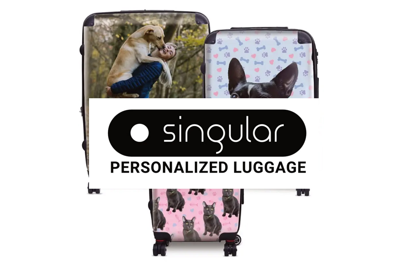 Singular Luggage