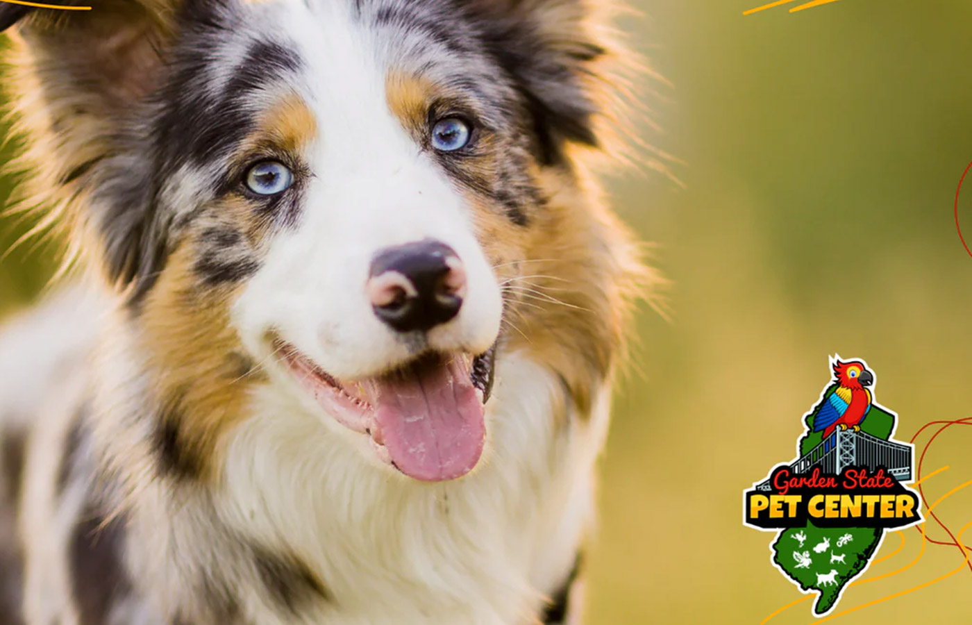 Garden State Pet Center LLC