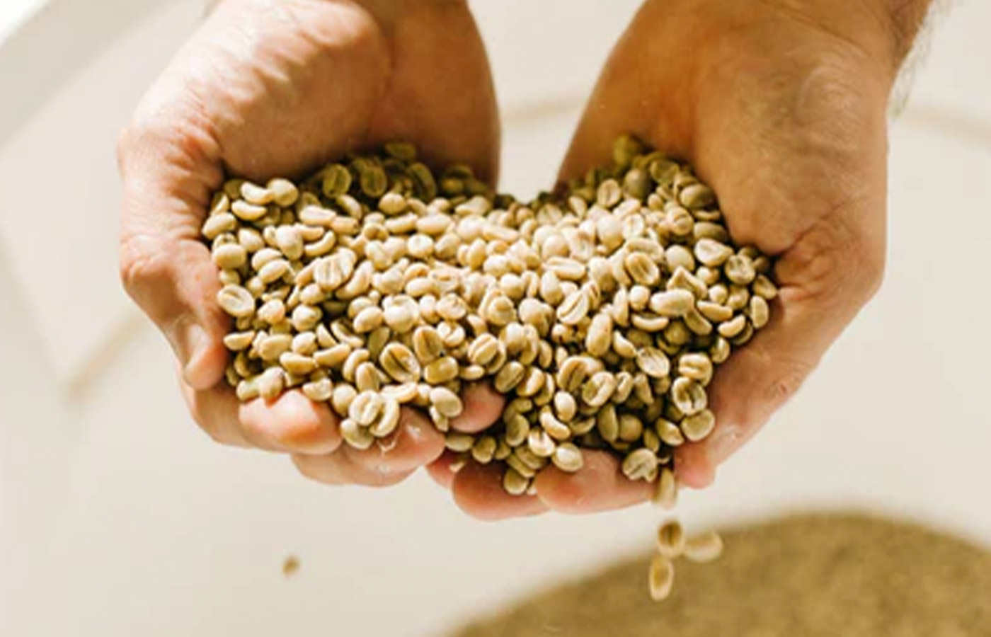 Las Fincas Coffee