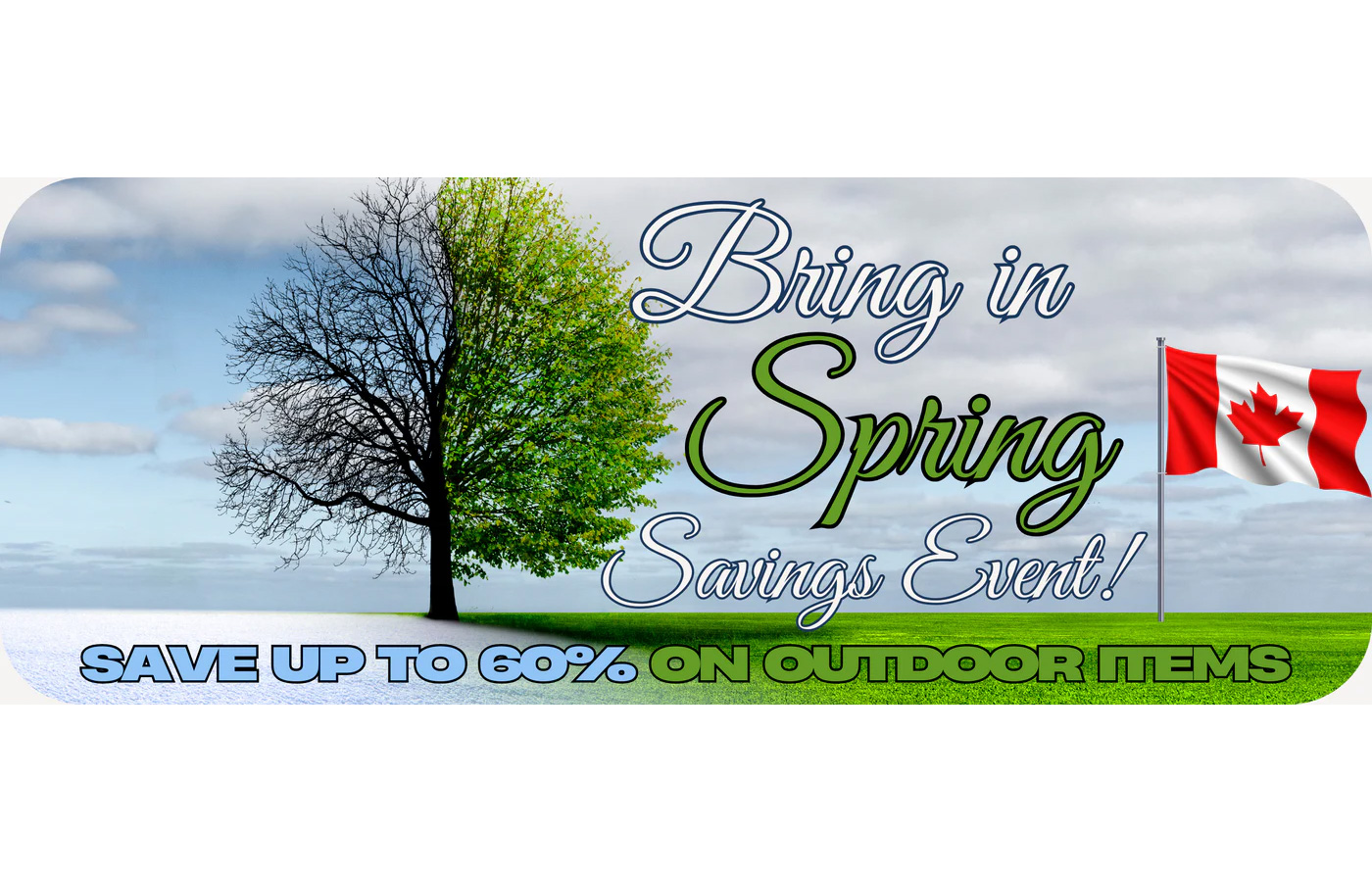 Seasonal Overstock