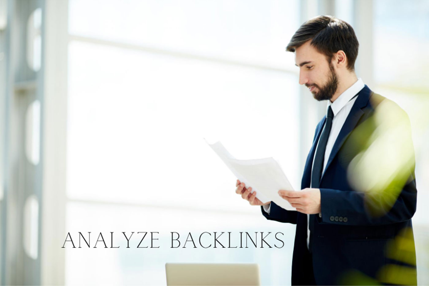 Analyze Backlinks