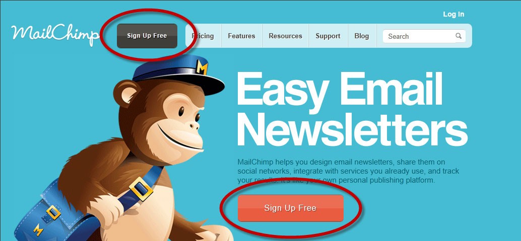 How To Start an Enticing Newsletter Campaign