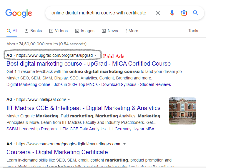 Top Skills Every Digital Marketer Needs to Know