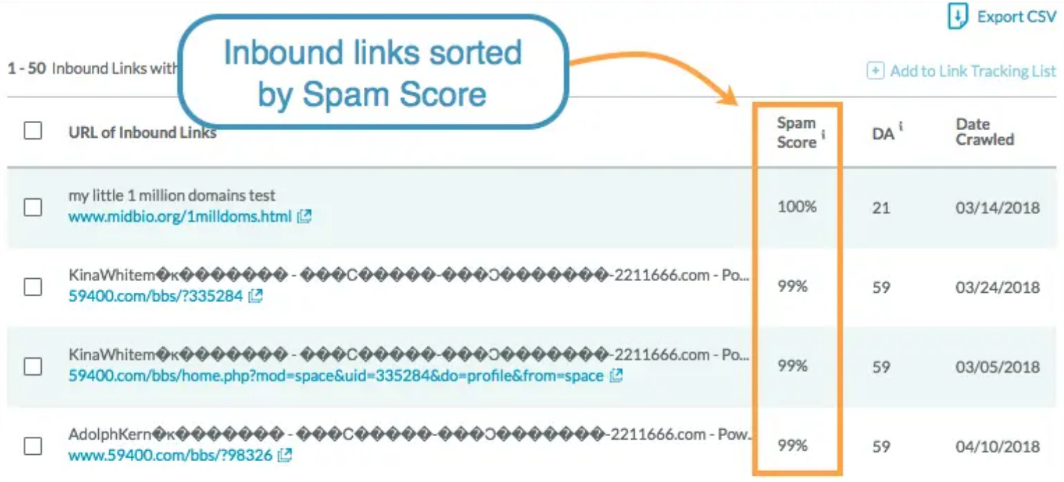 How to Check Your Domain Spam Score